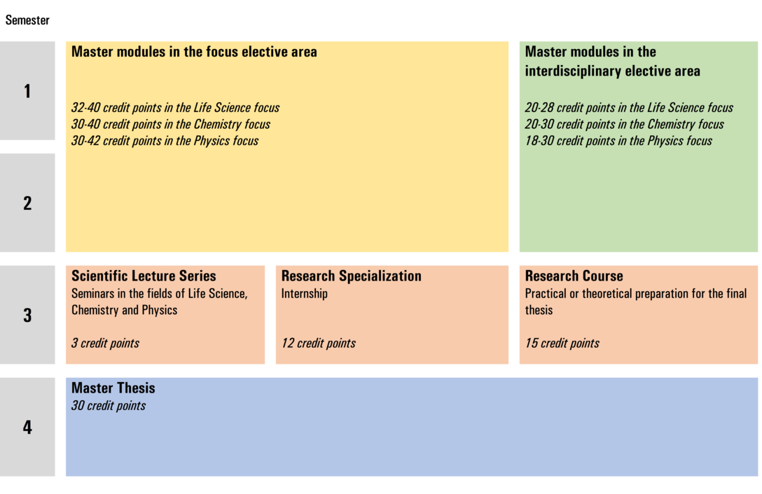 Exemplary study plan with various modules