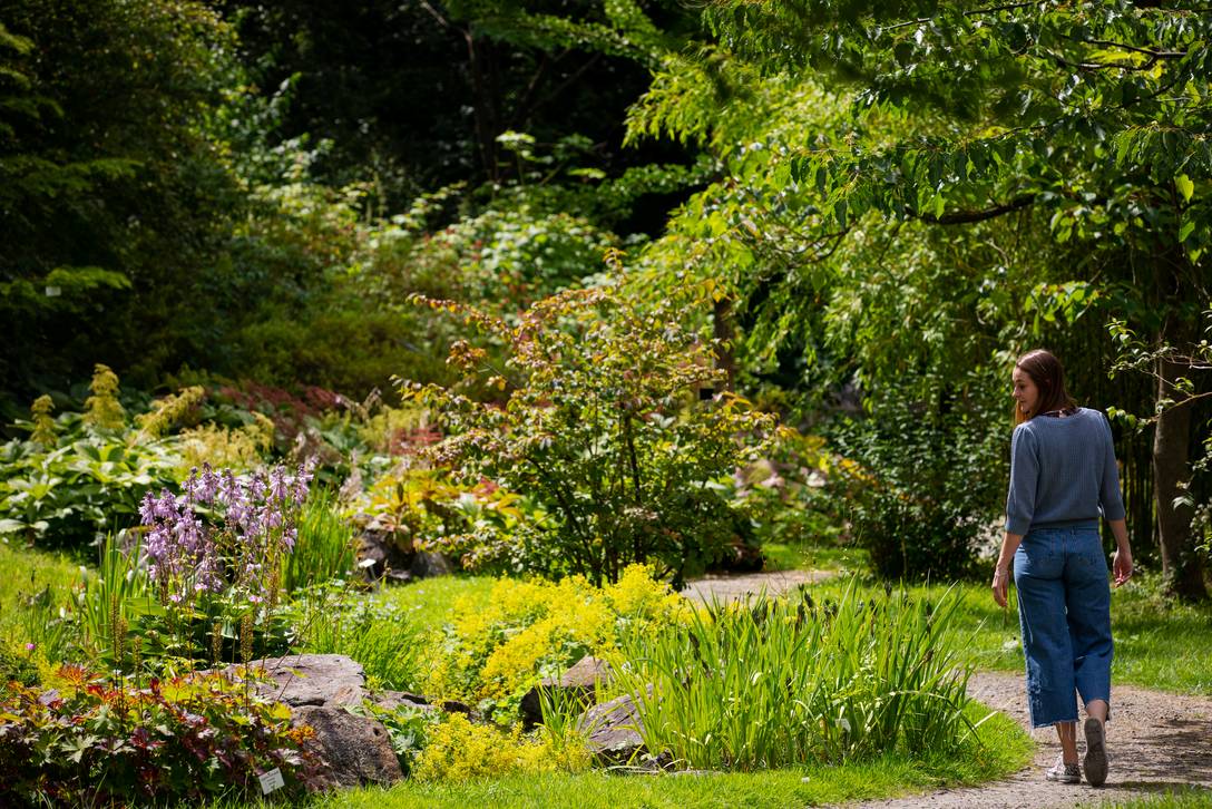 Eine junge Frau spaziert durch den botanischen Garten Osnabrück.