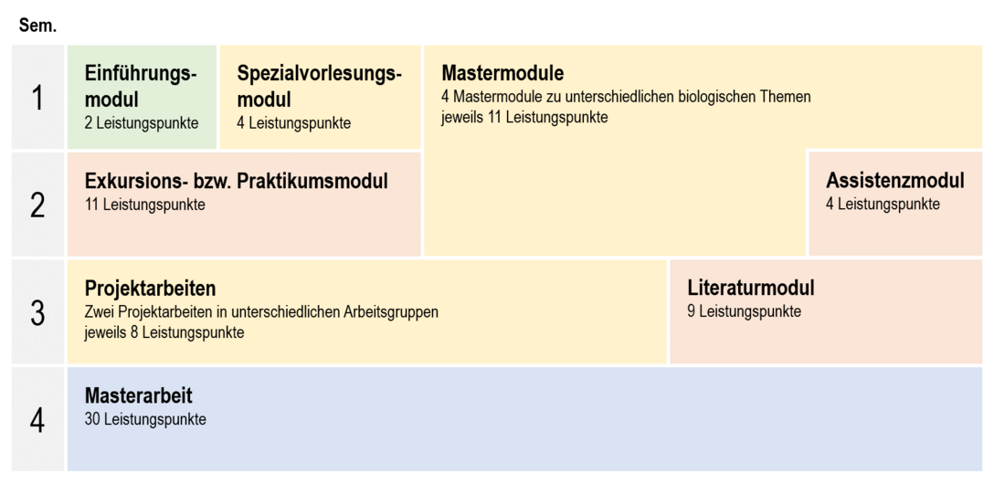 Eine Tabelle zeigt einen beispielhaften Studienverlauf