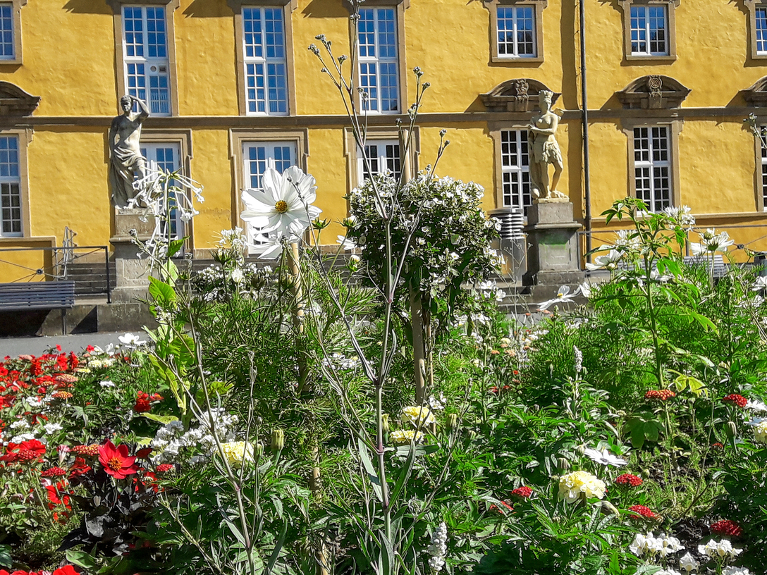 © Universität Osnabrück | Jens Raddatz